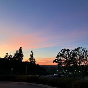 Meet your Posher, Gavin